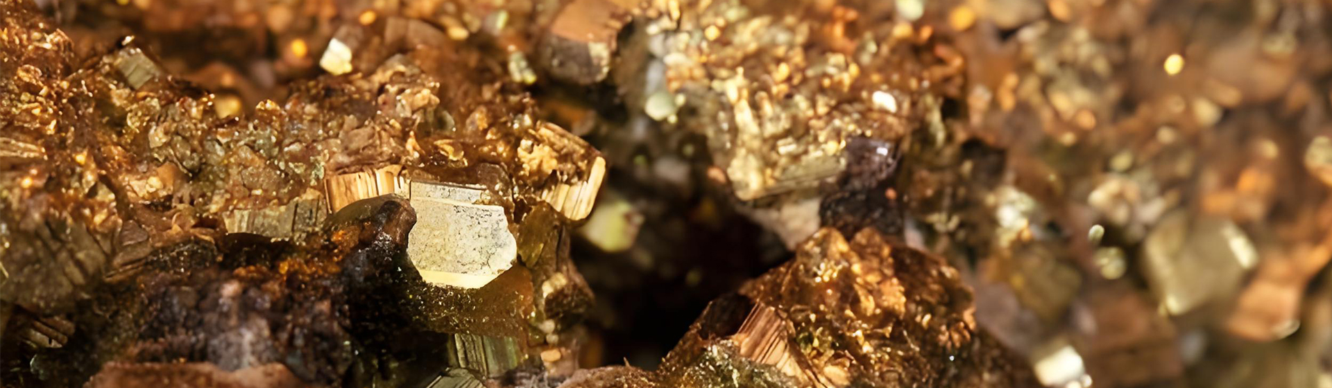 太阳城官网·tyc(中国集团)有限公司