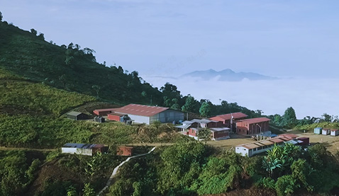 太阳城官网·tyc(中国集团)有限公司