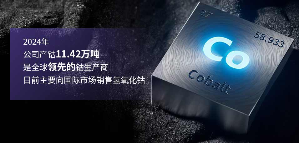 太阳城官网·tyc(中国集团)有限公司