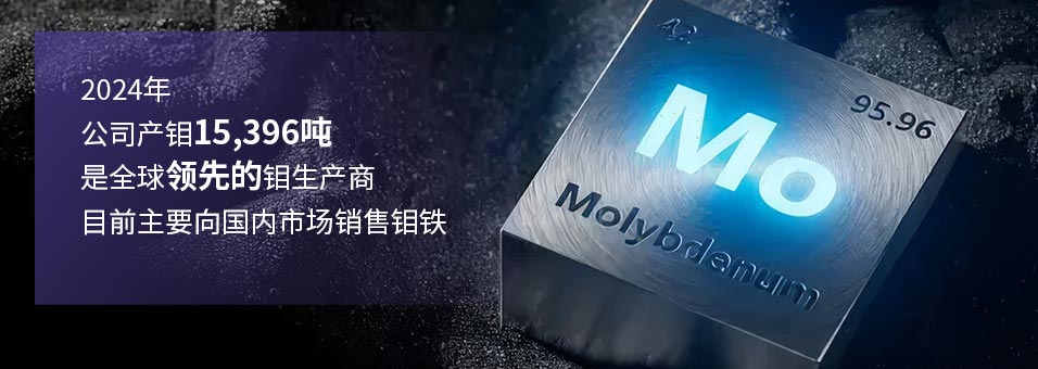 太阳城官网·tyc(中国集团)有限公司