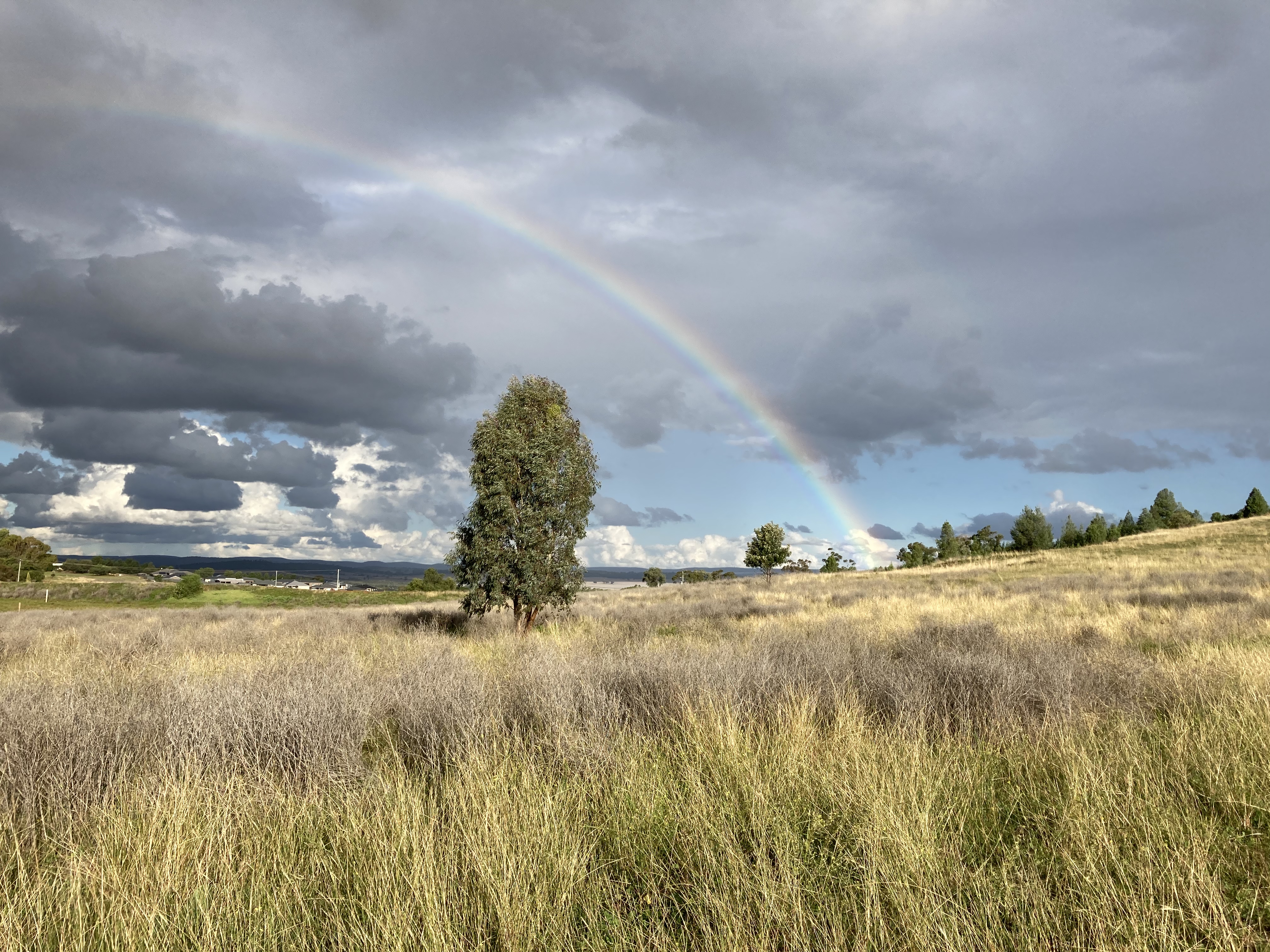 20231218043916291 Ì«Ñô³Ç¹ÙÍø¡¤tyc(Öйú¼¯ÍÅ)ÓÐÏÞ¹«Ë¾