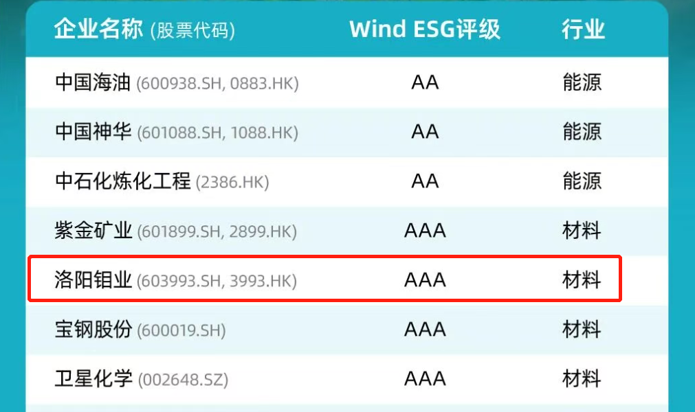 太阳城官网·tyc(中国集团)有限公司