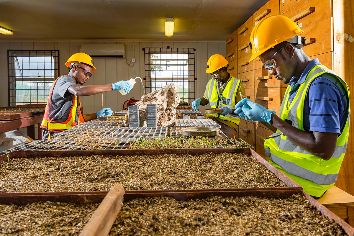 ̫���ǹ�����tyc(�й�����)���޹�˾