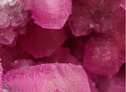 ̫���ǹ�����tyc(�й�����)���޹�˾