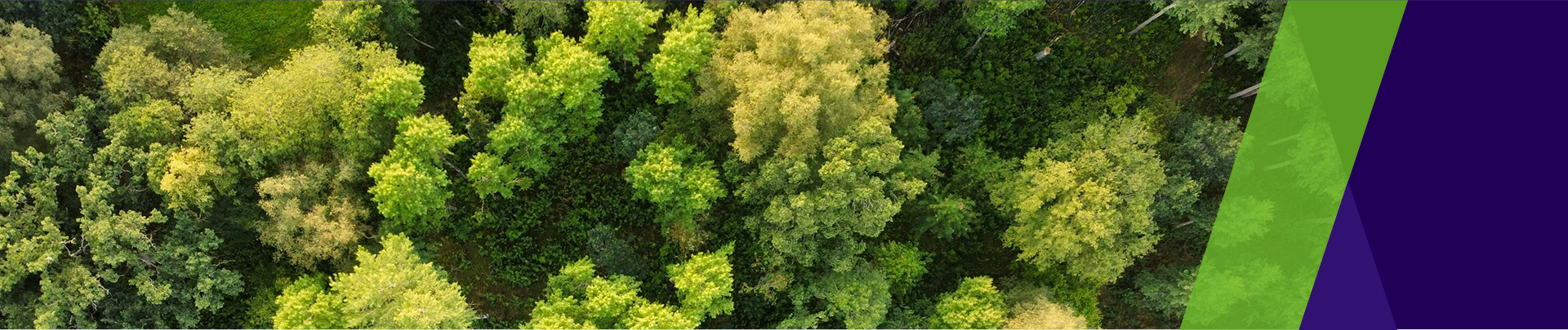 ̫���ǹ�����tyc(�й�����)���޹�˾