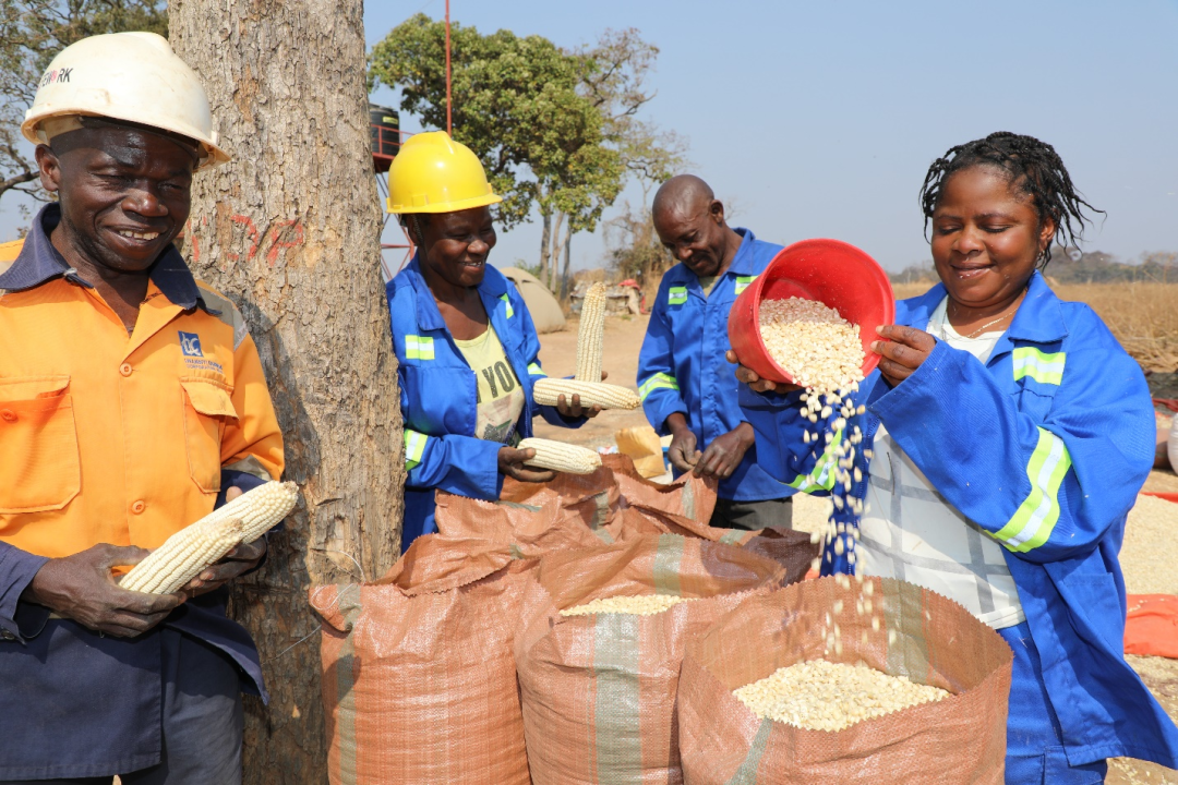 20221115092034405 太阳城官网·tyc(中国集团)有限公司