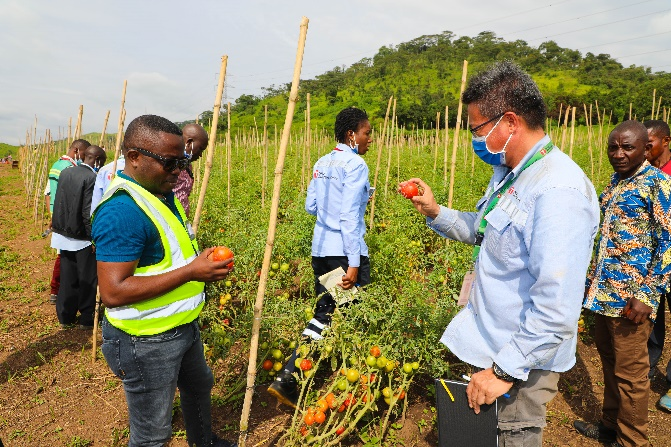 20230322042717137 Ì«Ñô³Ç¹ÙÍø¡¤tyc(Öйú¼¯ÍÅ)ÓÐÏÞ¹«Ë¾