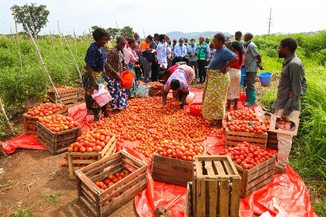 20230322042731667 Ì«Ñô³Ç¹ÙÍø¡¤tyc(Öйú¼¯ÍÅ)ÓÐÏÞ¹«Ë¾