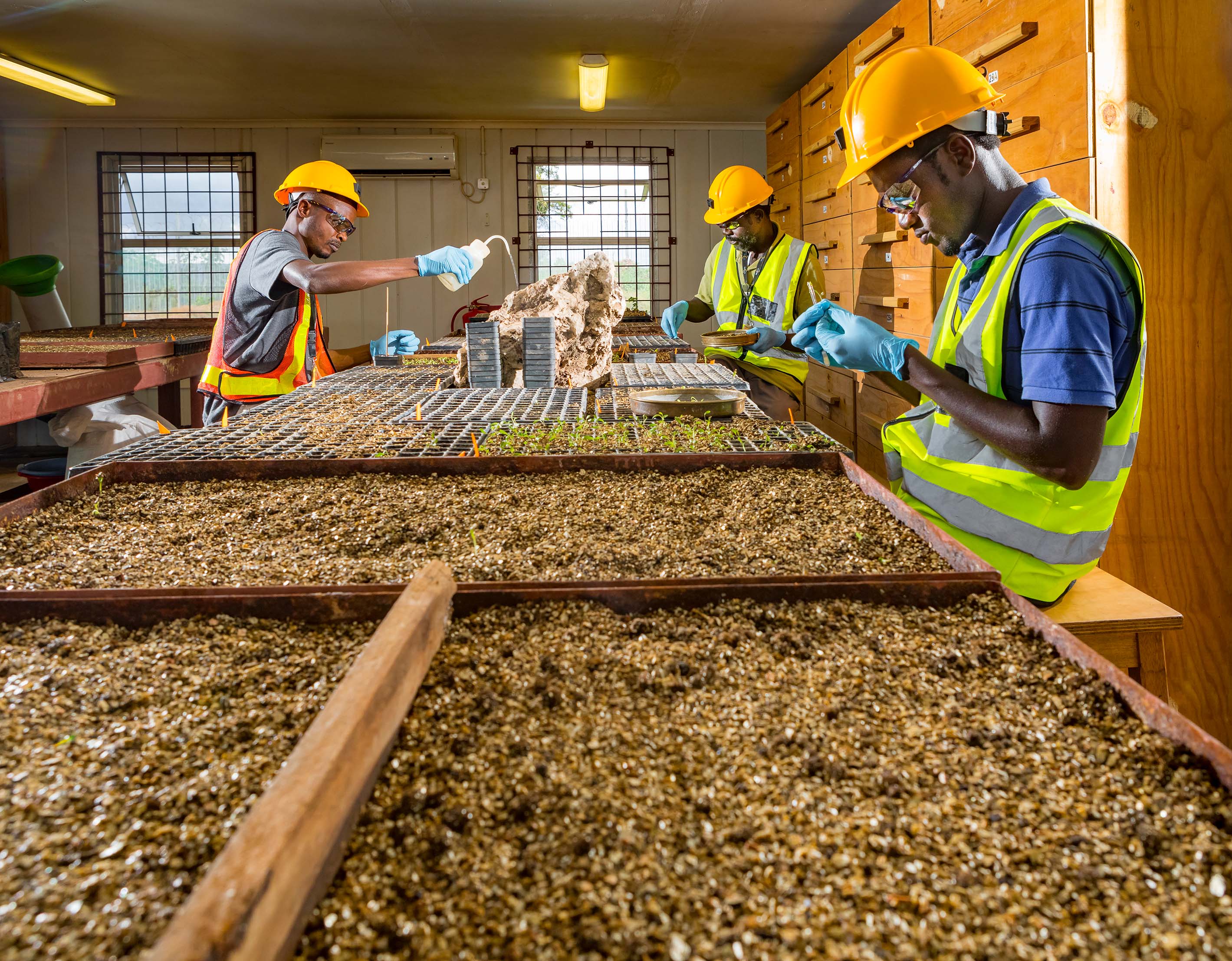 ̫���ǹ�����tyc(�й�����)���޹�˾