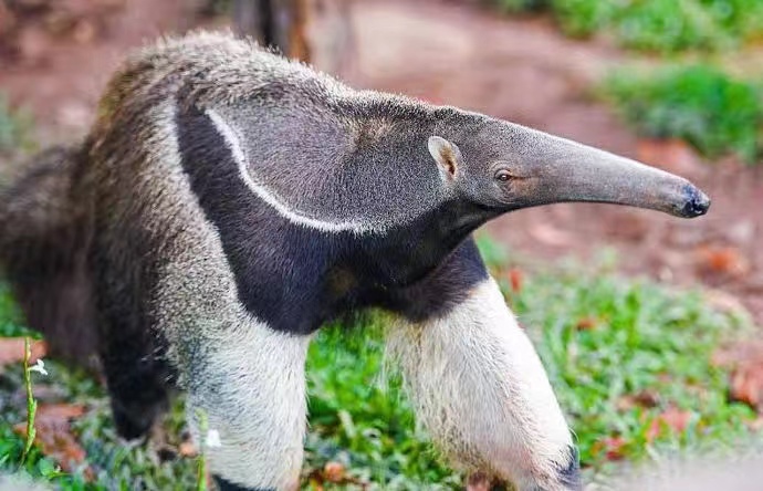 ̫���ǹ�����tyc(�й�����)���޹�˾