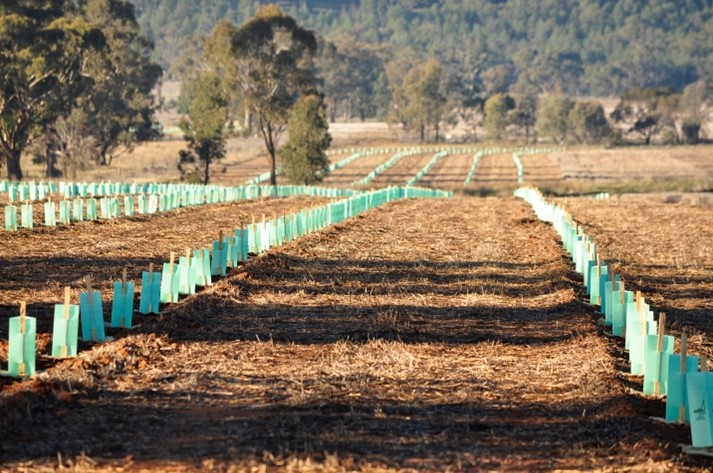 ̫���ǹ�����tyc(�й�����)���޹�˾