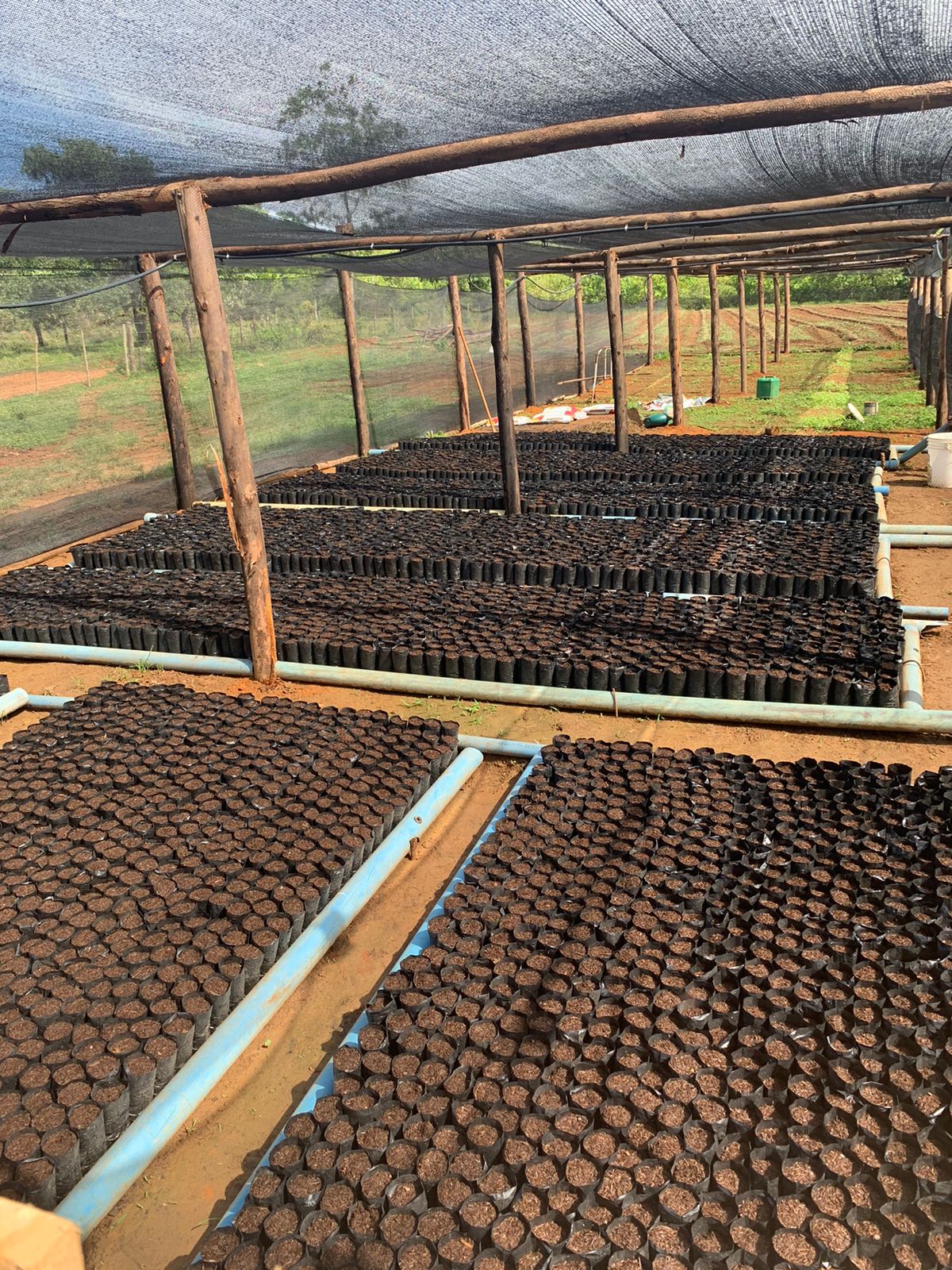 20230528113329984 太阳城官网·tyc(中国集团)有限公司