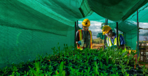 ̫���ǹ�����tyc(�й�����)���޹�˾