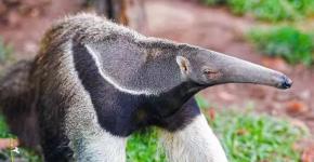 ̫���ǹ�����tyc(�й�����)���޹�˾