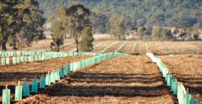 ̫���ǹ�����tyc(�й�����)���޹�˾