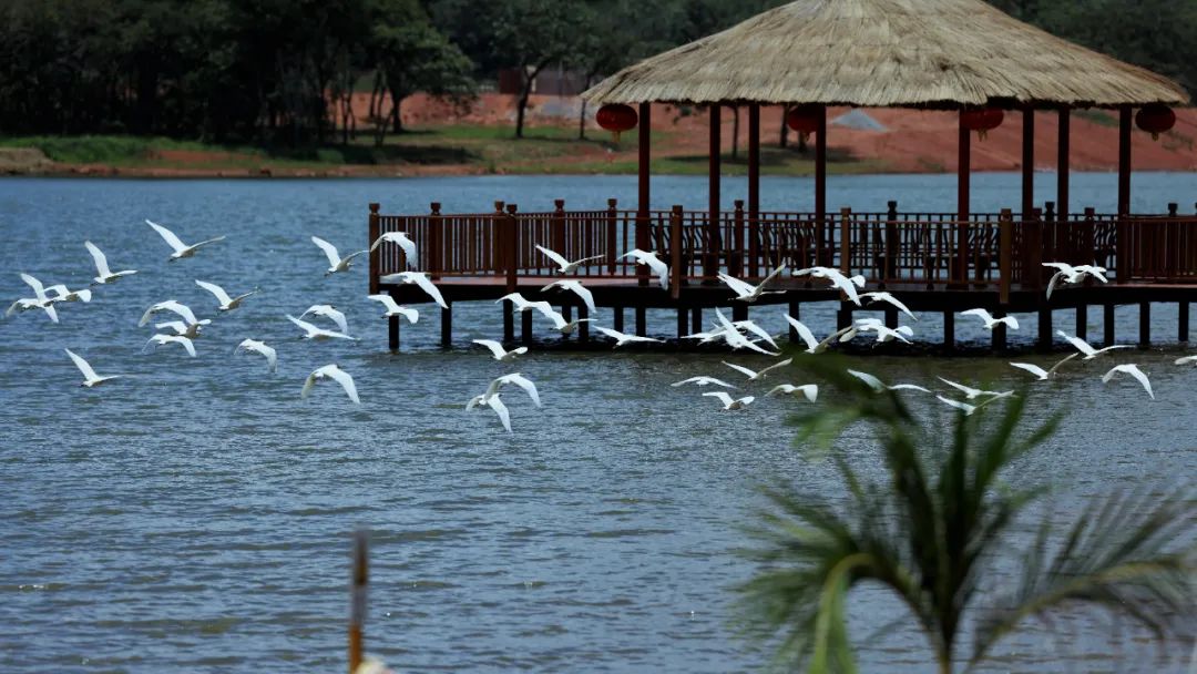 20230927104400981 Ì«Ñô³Ç¹ÙÍø¡¤tyc(Öйú¼¯ÍÅ)ÓÐÏÞ¹«Ë¾