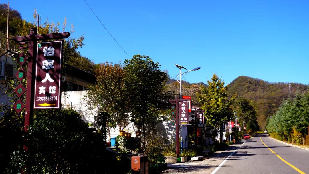 ̫���ǹ�����tyc(�й�����)���޹�˾