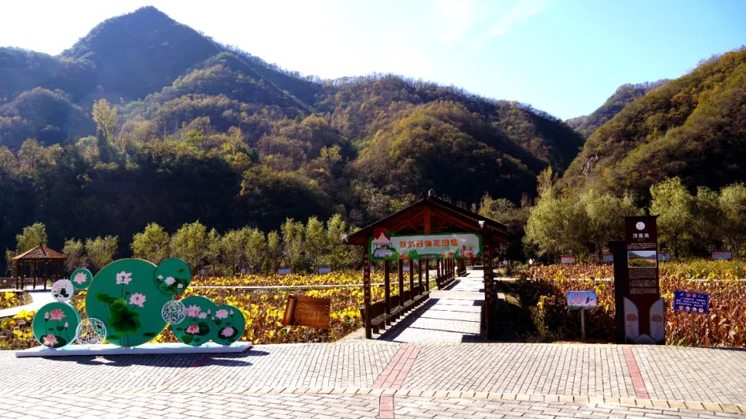 ̫���ǹ�����tyc(�й�����)���޹�˾