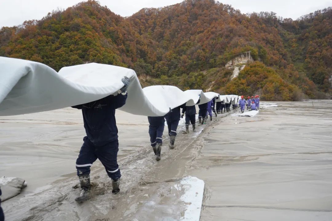 20231109012401855 Ì«Ñô³Ç¹ÙÍø¡¤tyc(Öйú¼¯ÍÅ)ÓÐÏÞ¹«Ë¾