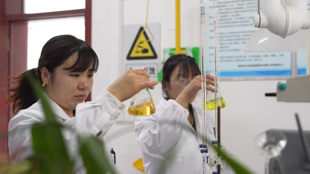 20240207101437888 Ì«Ñô³Ç¹ÙÍø¡¤tyc(Öйú¼¯ÍÅ)ÓÐÏÞ¹«Ë¾