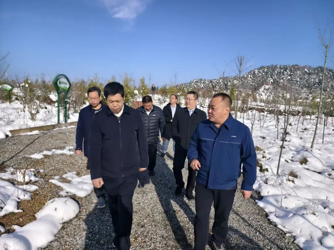 ̫���ǹ�����tyc(�й�����)���޹�˾