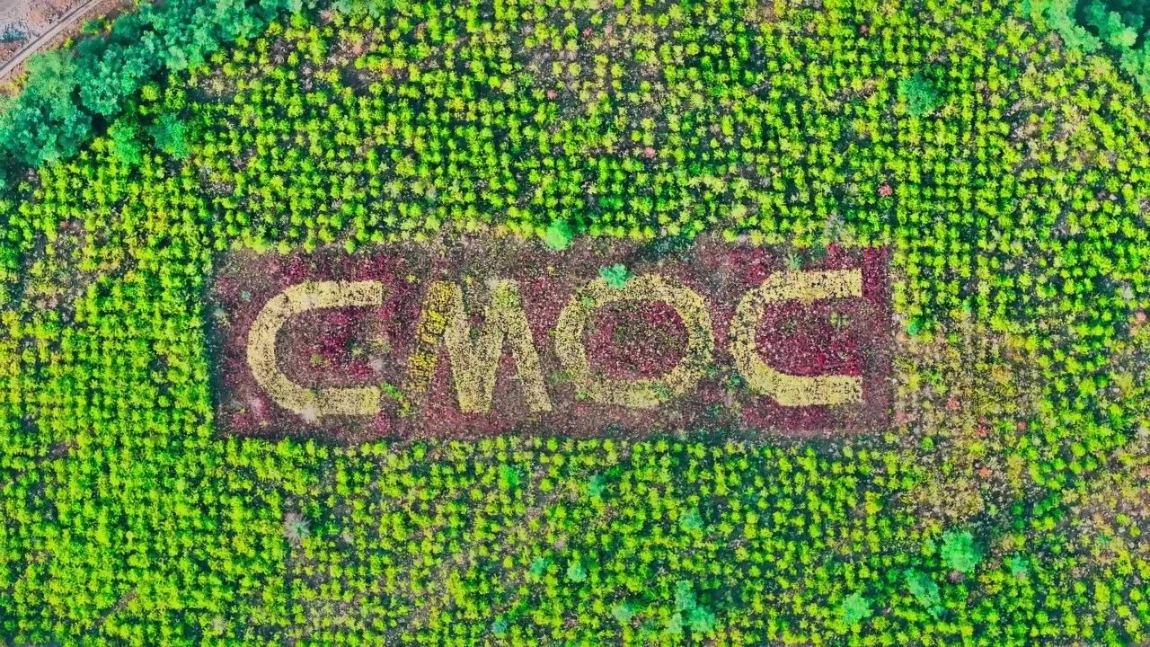 ̫���ǹ�����tyc(�й�����)���޹�˾