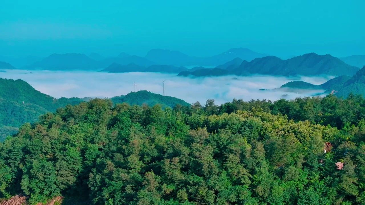 ̫���ǹ�����tyc(�й�����)���޹�˾